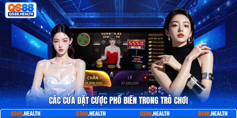 Các cửa đặt cược phổ biến trong trò chơi