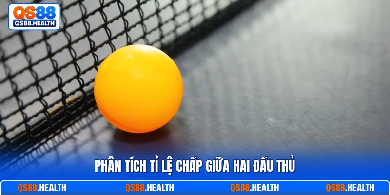Phân tích tỉ lệ chấp giữa hai đấu thủ